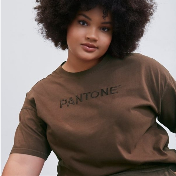 Panetone x Forever 21 | Brown Embroidered T Shirt - Picture 1 of 11